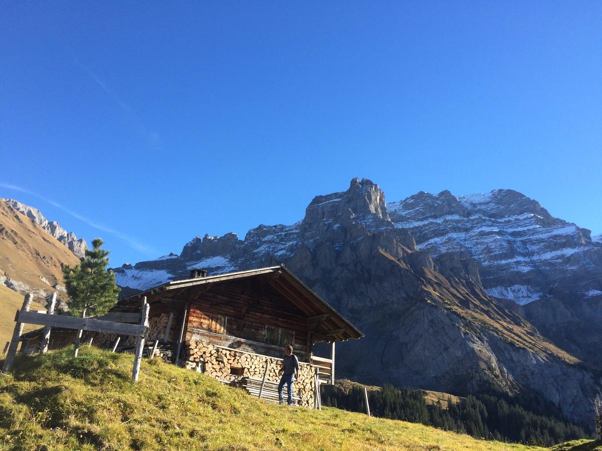 Bergdohle Apartment Adelboden Exterior foto