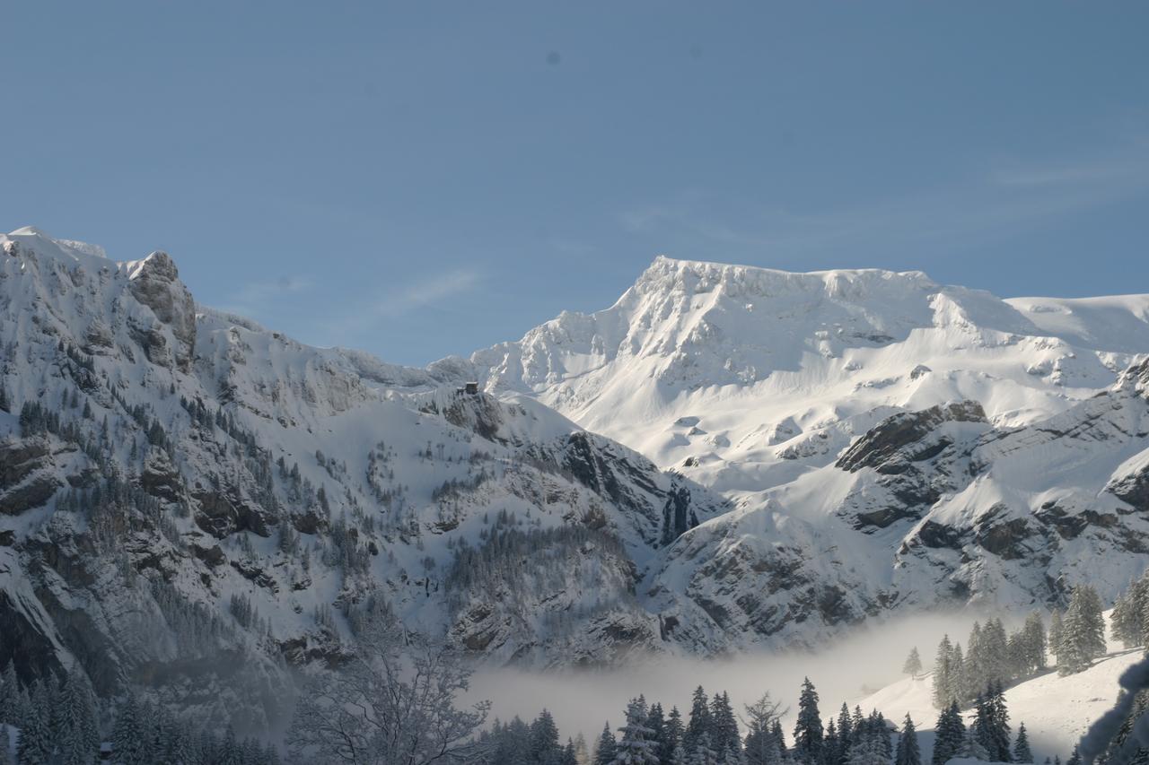 Bergdohle Apartment Adelboden Exterior foto
